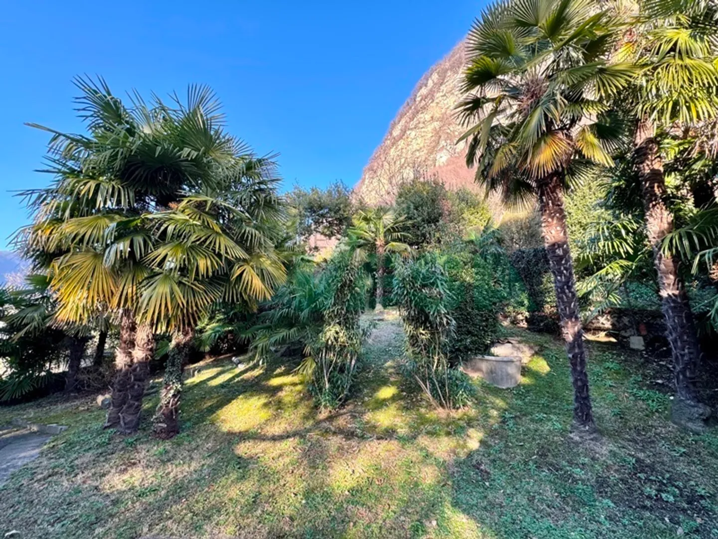Accogliente villa tutta su un piano con grande bel giardino e piscina - Foto 11 von 13