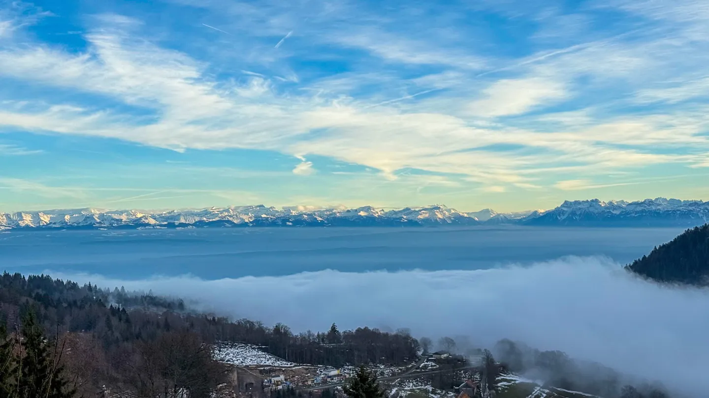 Geräumige PPE-Wohnung im Erdgeschoss mit Terrasse und Alcove - Foto 12 von 13