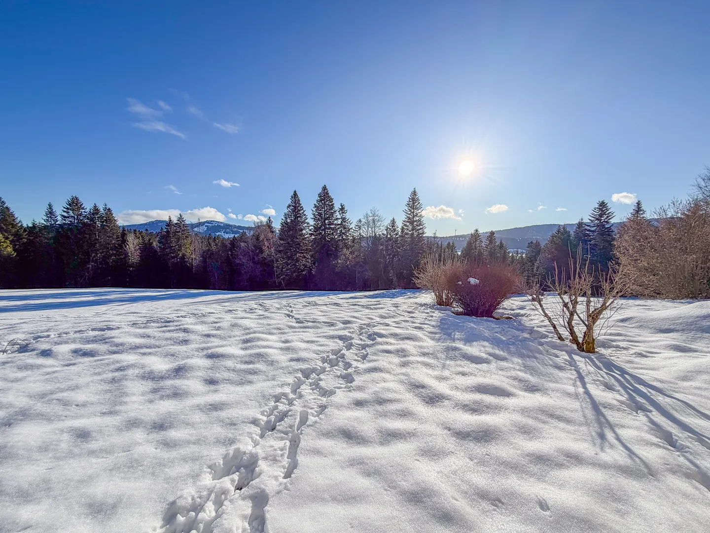 Edificio a schiera storico su terreno agricolo di 17.197 m2 - Foto 2 di 13