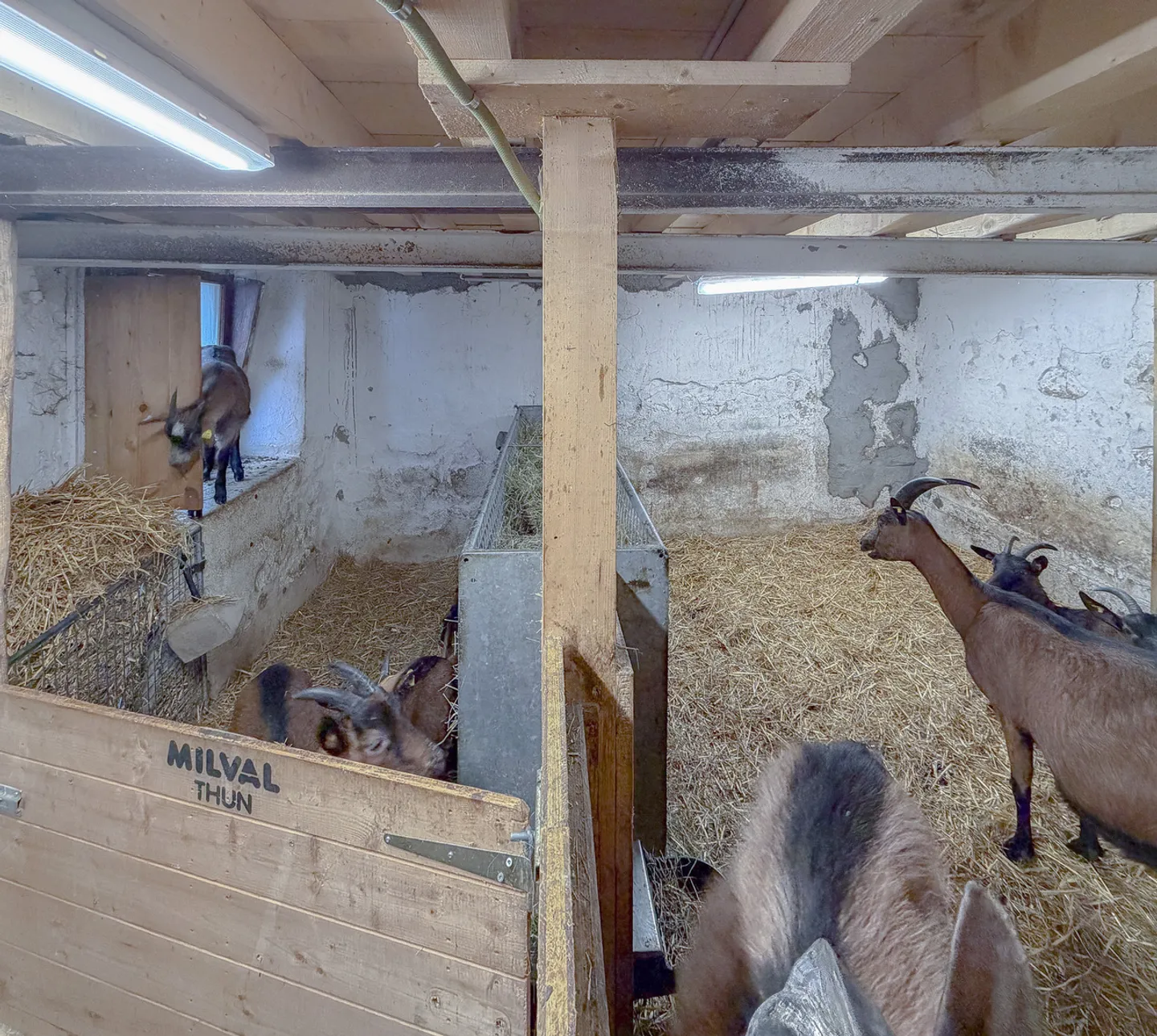 Fienile da ristrutturare con possibilità di creare più appartamenti - Foto 9 di 10