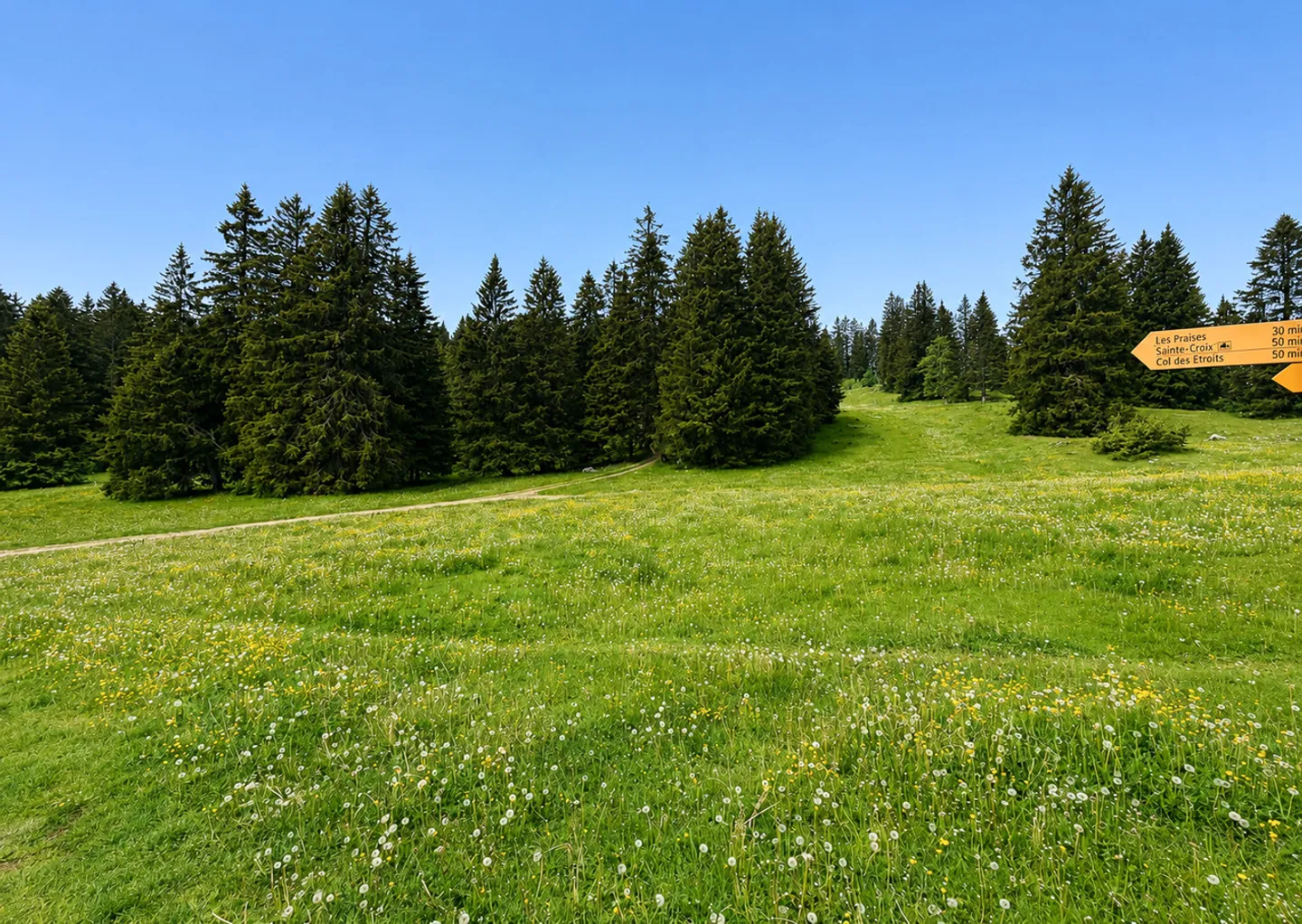Buvette d'alpage au coeur de la nature - Foto 5 di 13
