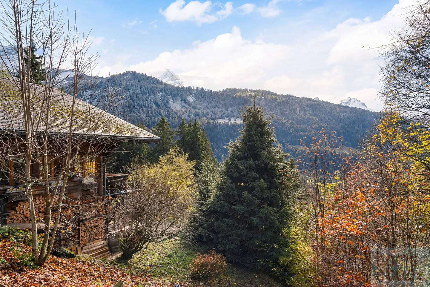 Chalet Rose: Tranquillità e Natura a La Barboleuse - Foto 3 di 13