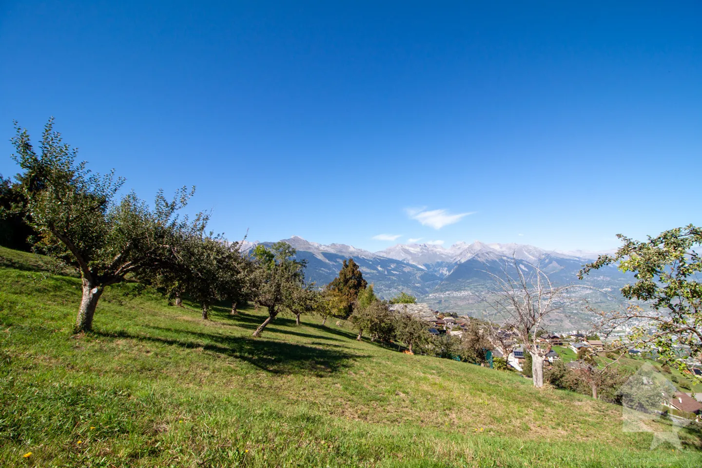 Superbe parcelle de 2'978 m2 à bâtir à 5 minutes des pistes - Foto 2 di 5