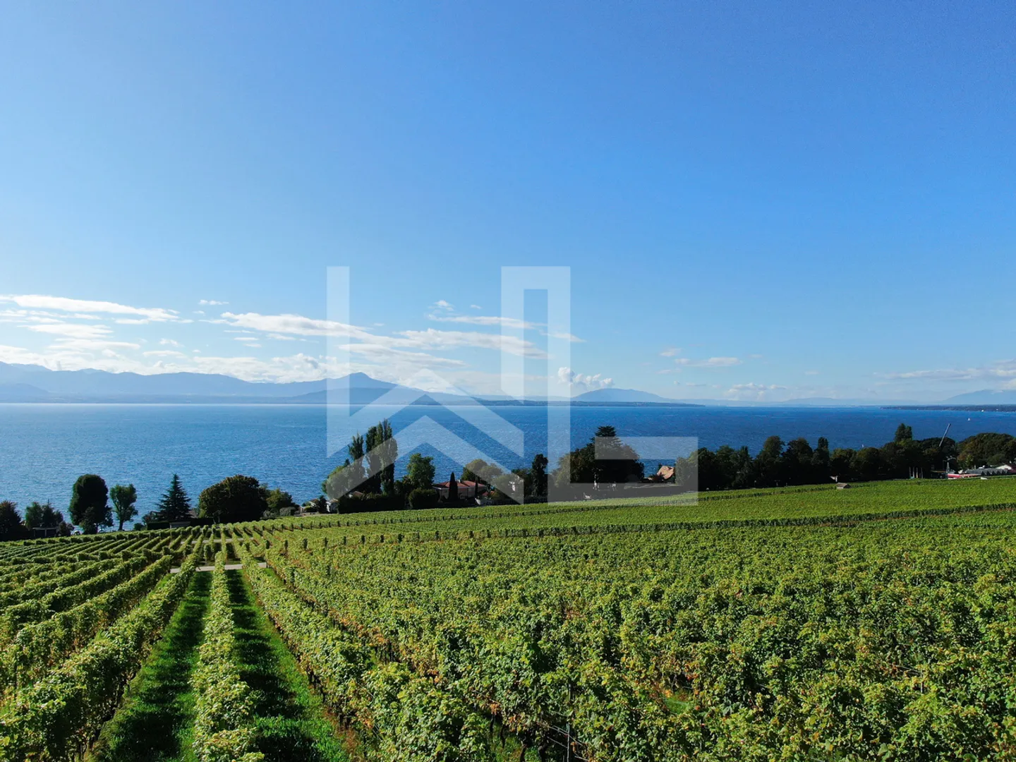 Contemporary property with a view - Photo 1 of 1