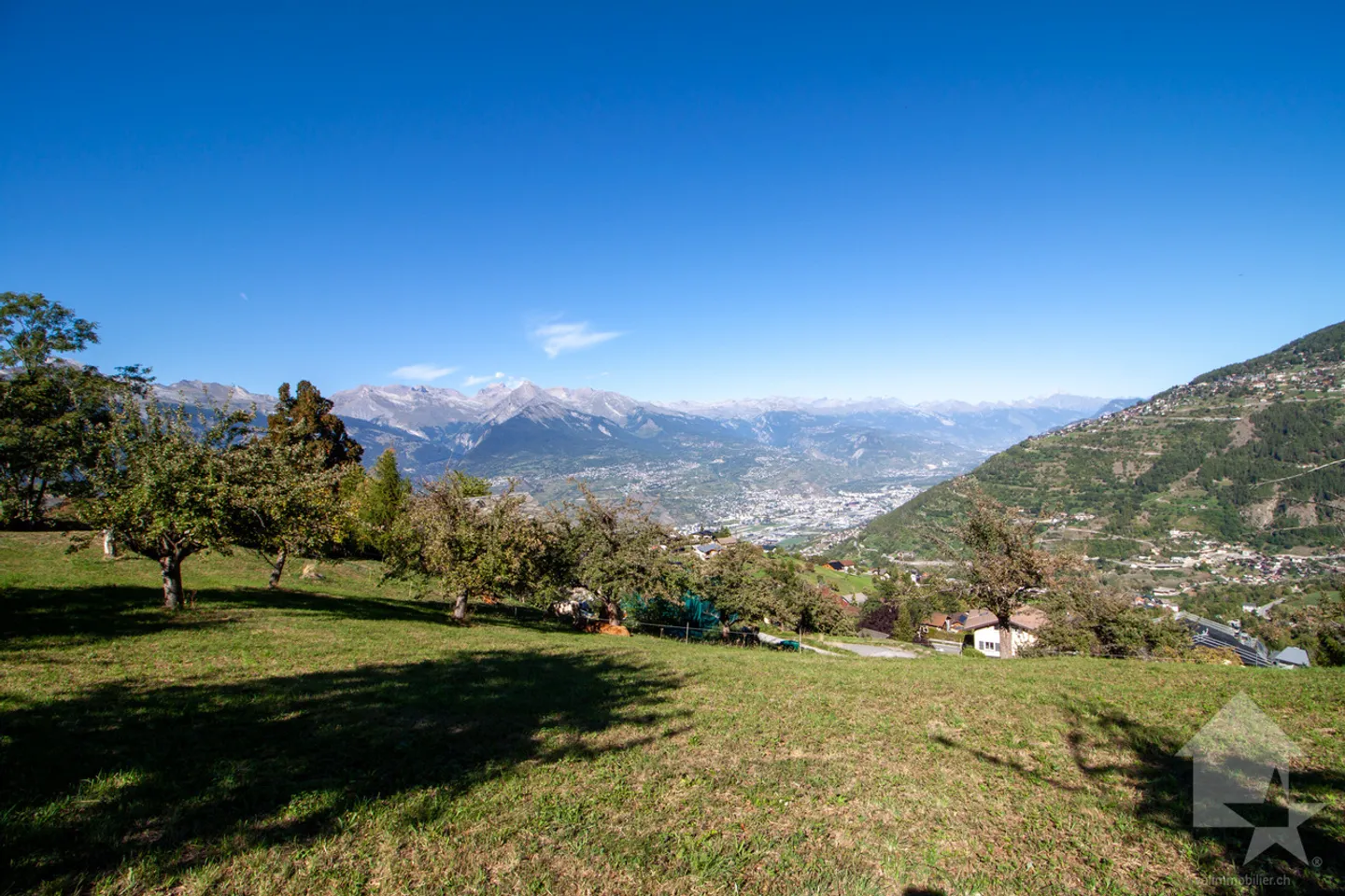Superbe parcelle de 2'978 m2 à bâtir à 5 minutes des pistes - Foto 5 di 5