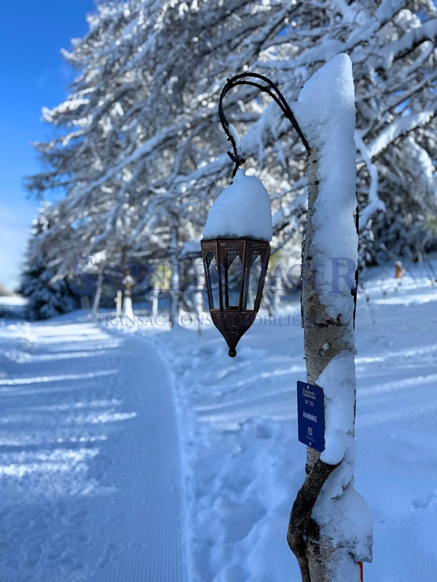 Crans-Montana. Apartment - 5 minutes from the center - Photo 6 of 13