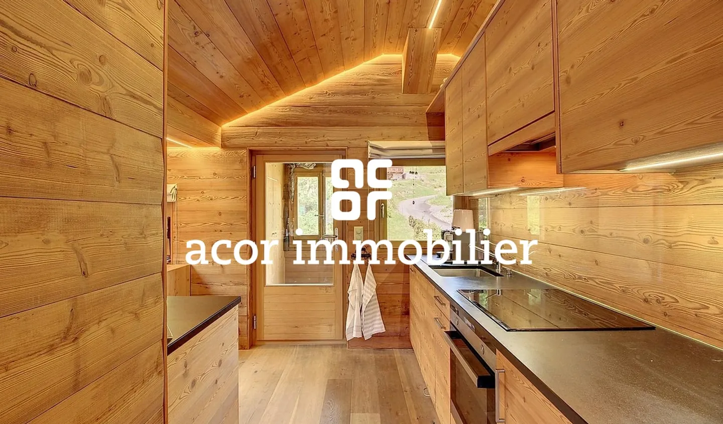 SKI-IN/SKI-OUT CHALET WITH 3 APARTMENTS - Photo 5 of 8