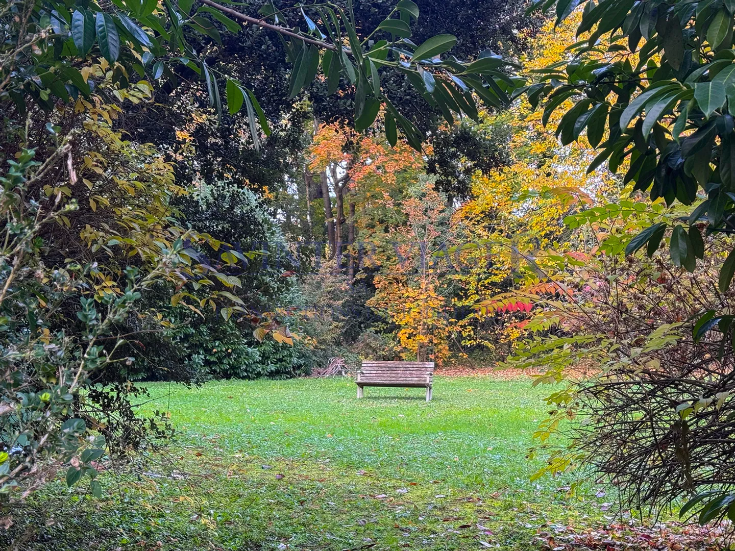 Appartement de standing à Eaux-Vives - Photo 3 sur 13