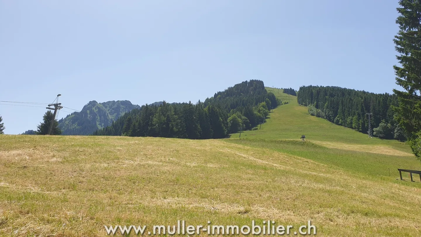 Schöne 2,5-Zimmer-Wohnung, nach Süden ausgerichtet, im 1. Stock in Torgon - Foto 11 von 13