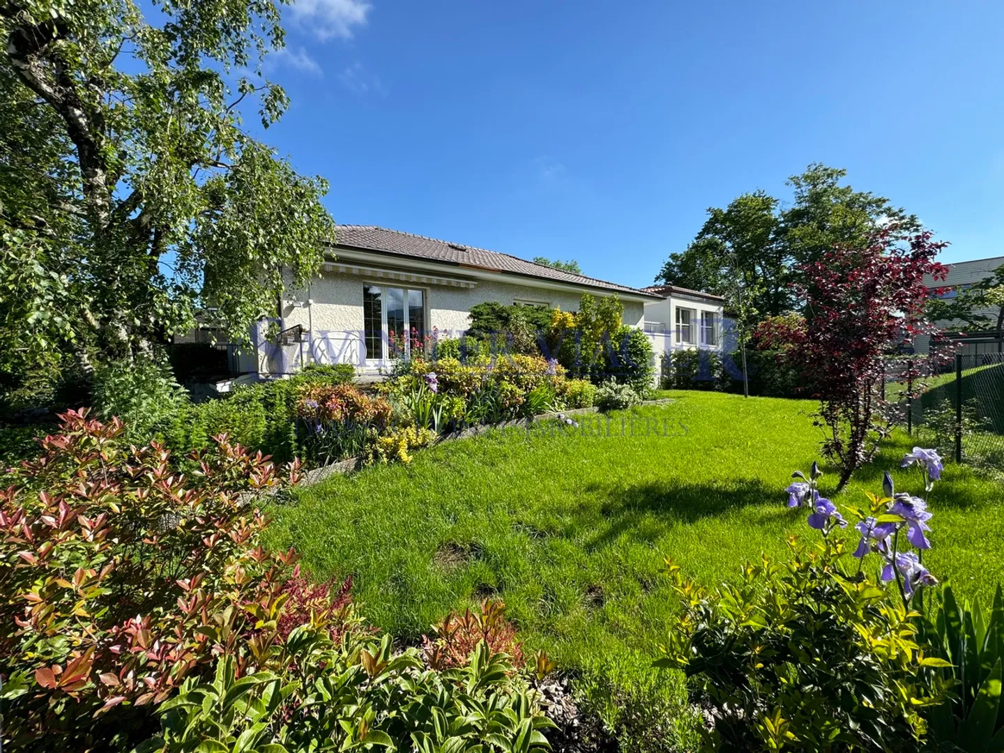 Plan-les-Ouates, Haus in einem Villenviertel - Besetzte Leibrente - Foto 1 von 11