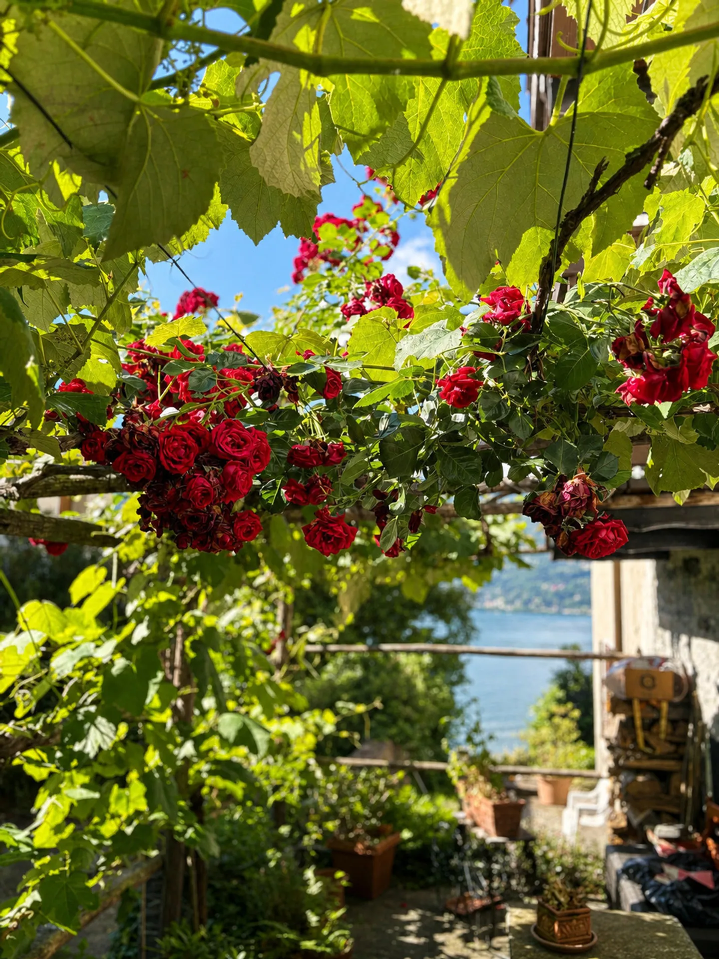 COROGNOLA - Affascinante casa ticinese con vista Lago Maggiore - Foto 8 von 13