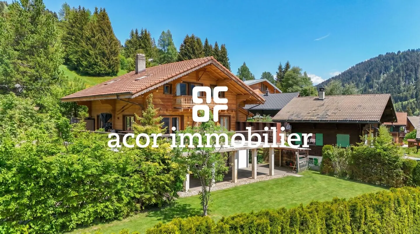 SKI-IN/SKI-OUT CHALET WITH 3 APARTMENTS - Photo 1 of 8