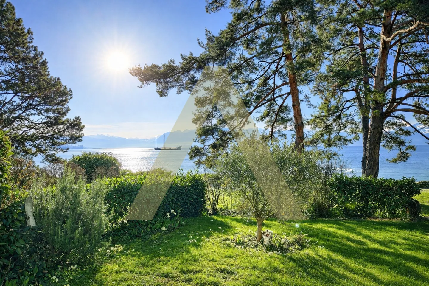 Grande colpo di cuore piedi nell'acqua - Foto 1 di 5