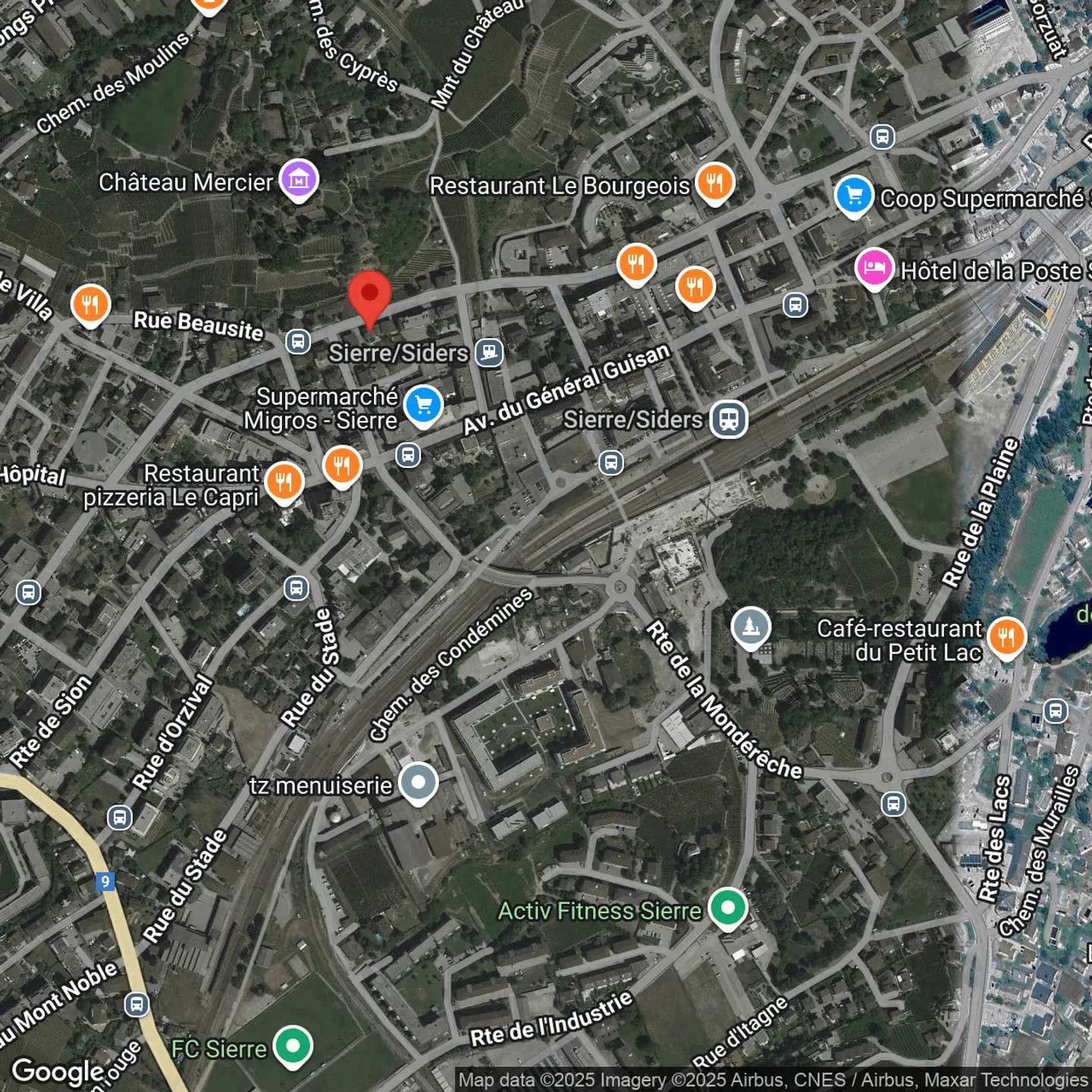 SURFACE COMMERCIALE  À SIERRE - Photo 8 of 8