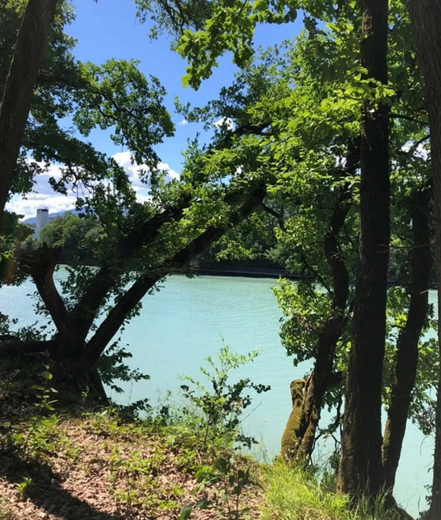 Schöne Villa mit unabhängigem Studio - Foto 2 von 13