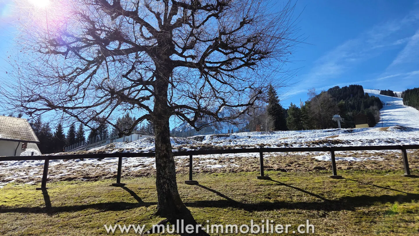 Bellissimo appartamento di 2,5 locali a Torgon - Foto 12 di 13