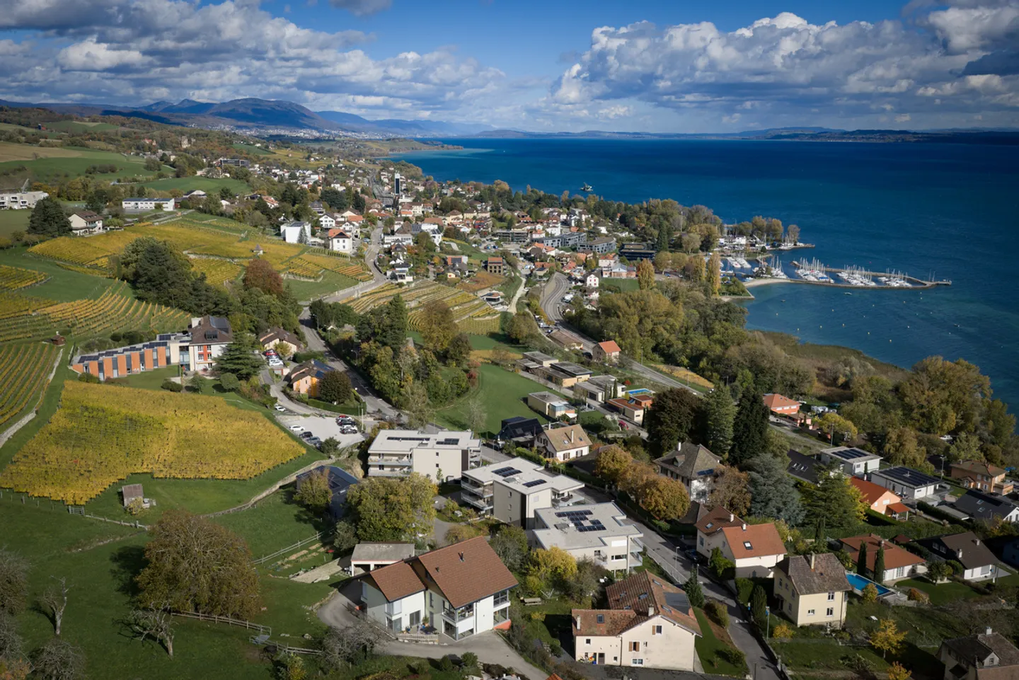 Turnkey Apartment! - Photo 6 of 7