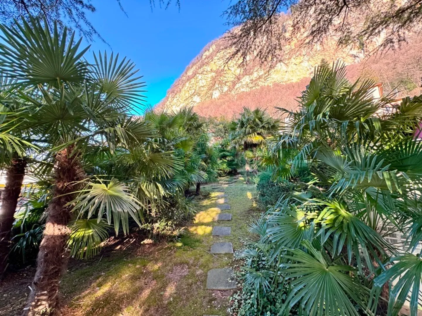 Accogliente villa tutta su un piano con grande bel giardino e piscina - Foto 7 von 13