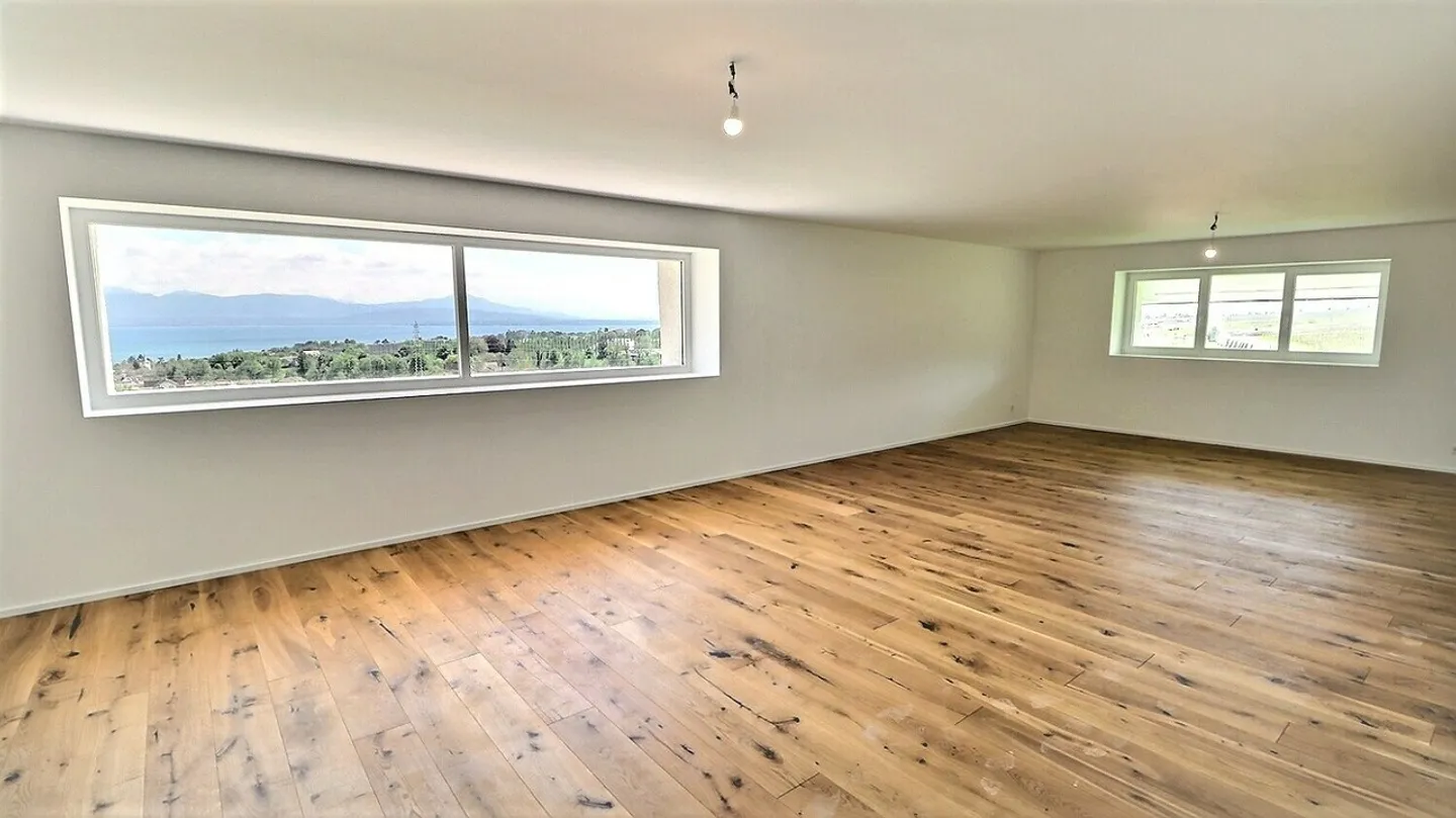 Appartamento duplex ristrutturato con vista lago vicino a Rolle - Foto 3 di 11