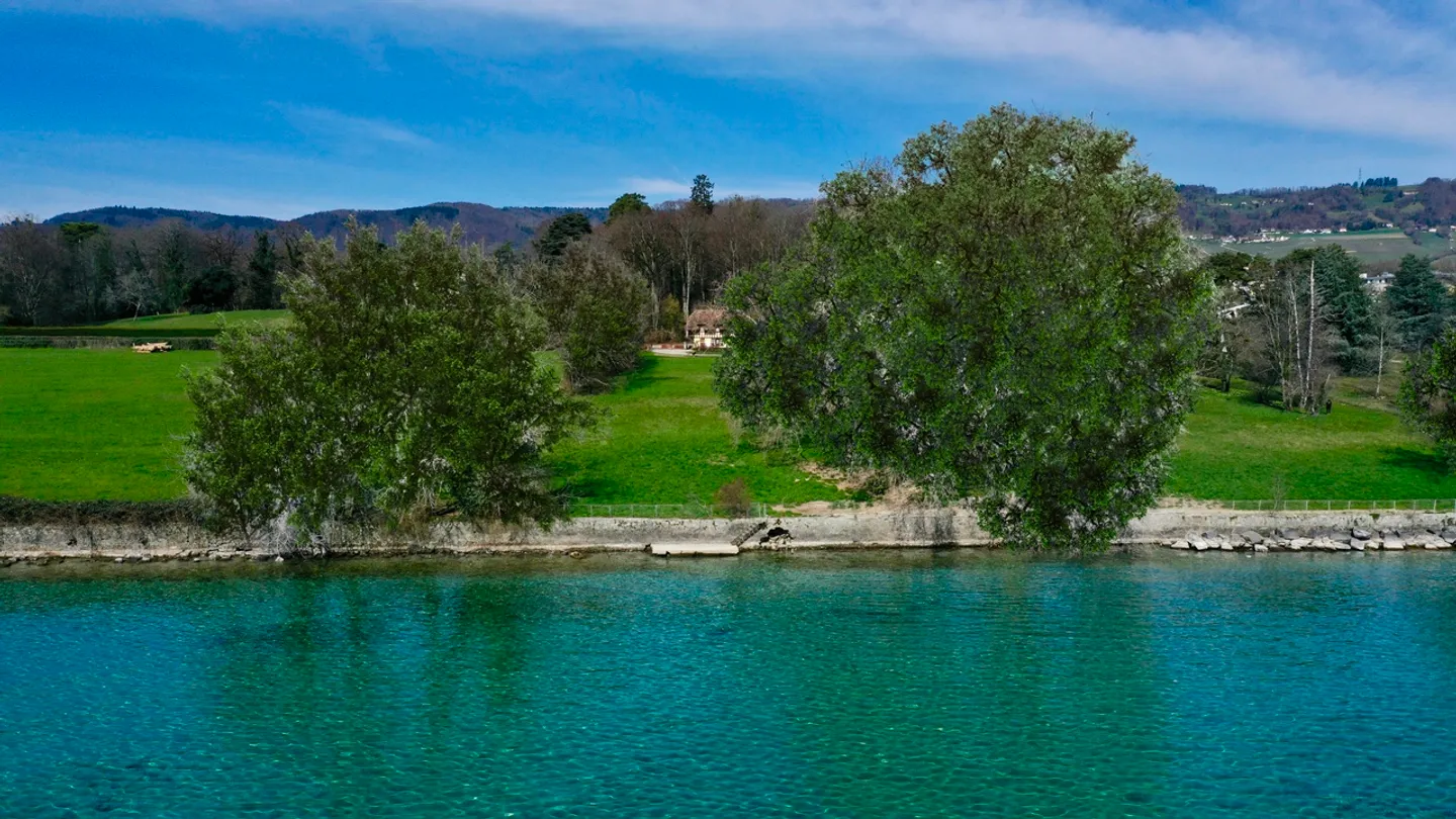 Progetto di una lussuosa villa contemporanea a piedi nell'acqua, Rolle - Foto 3 di 4