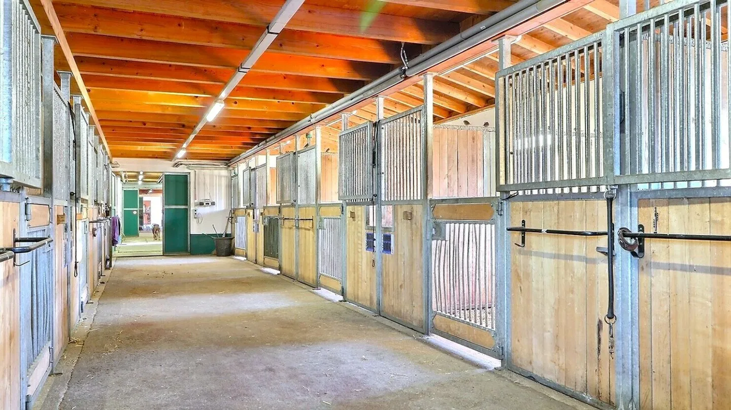 Rara proprietà equestre, a 20 minuti da Vevey - Foto 6 di 13