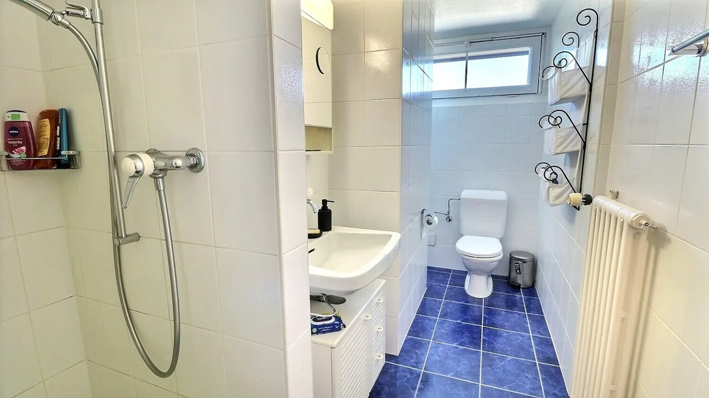 Grande proprietà familiare con piscina situata a Mont-sur-Lausanne - Foto 11 di 13