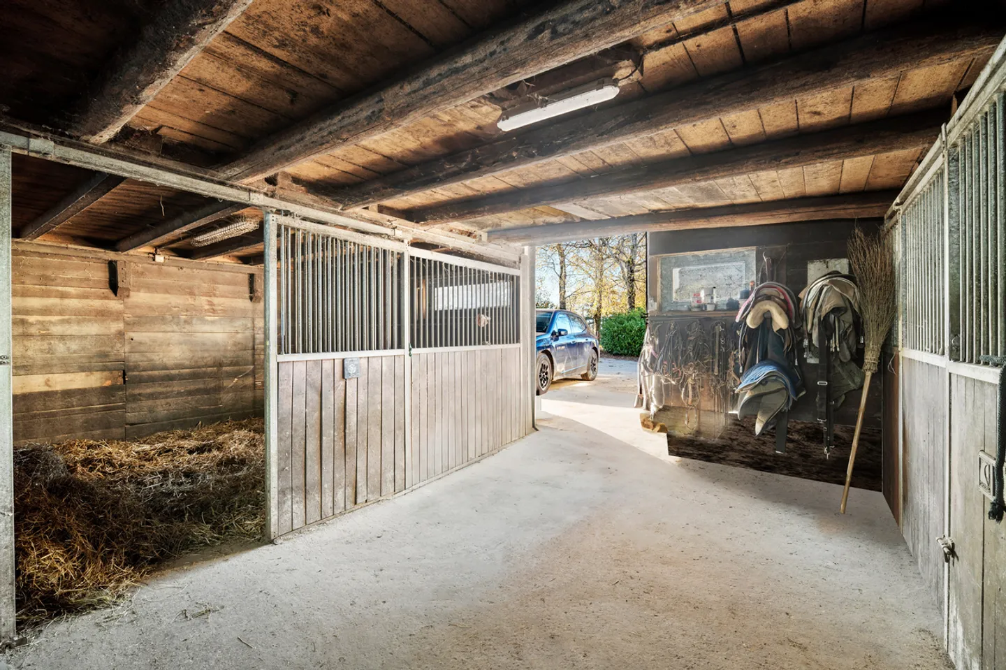 Rara proprietà equestre ad alto potenziale vicino a Losanna - Foto 9 di 13