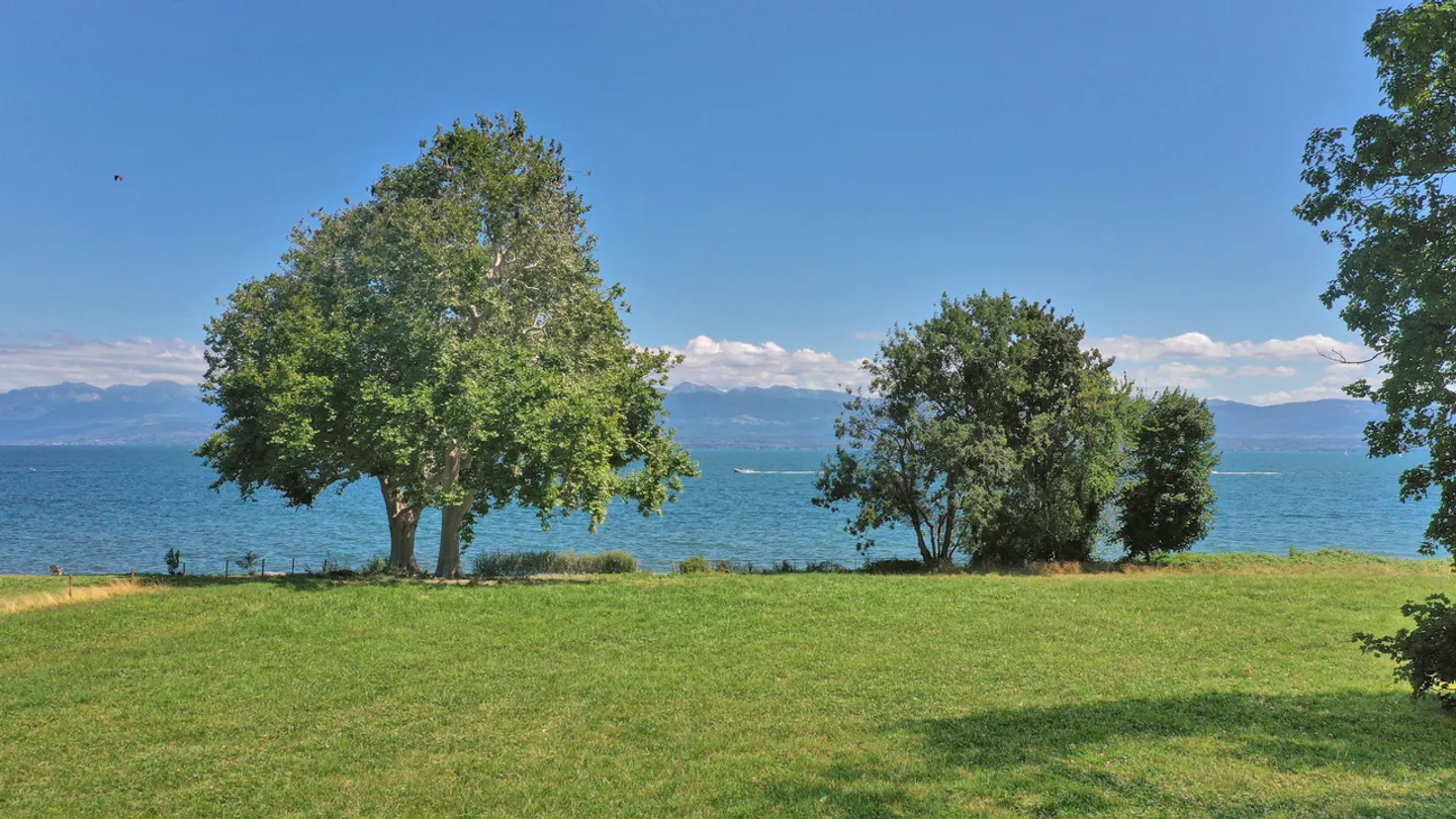 Superbe parcelle de 6 500 m2 pied dans l'eau, Rolle - Photo 2 sur 3