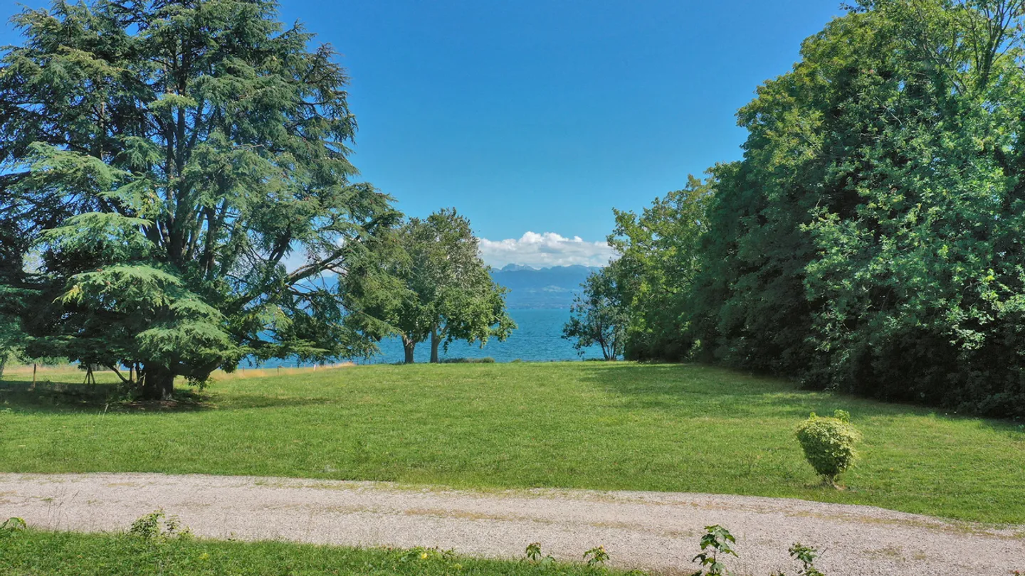 Superbe parcelle de 6 500 m2 pied dans l'eau, Rolle - Photo 3 sur 3