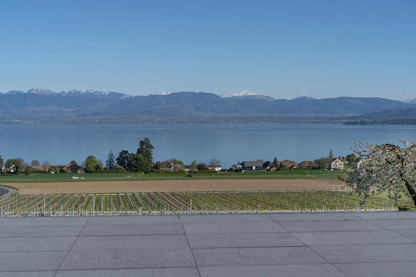 Bellissimo appartamento al piano giardino con vista panoramica a Bursinel - Foto 11 di 11