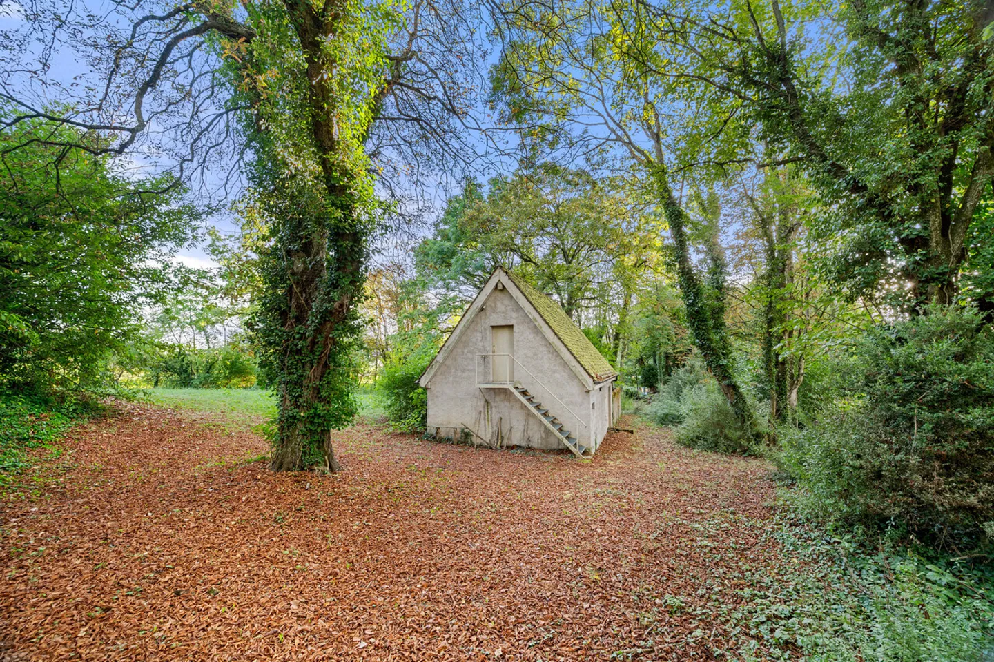 Residenza affascinante nel cuore della campagna ginevrina, Riva sinistra - Foto 12 di 13