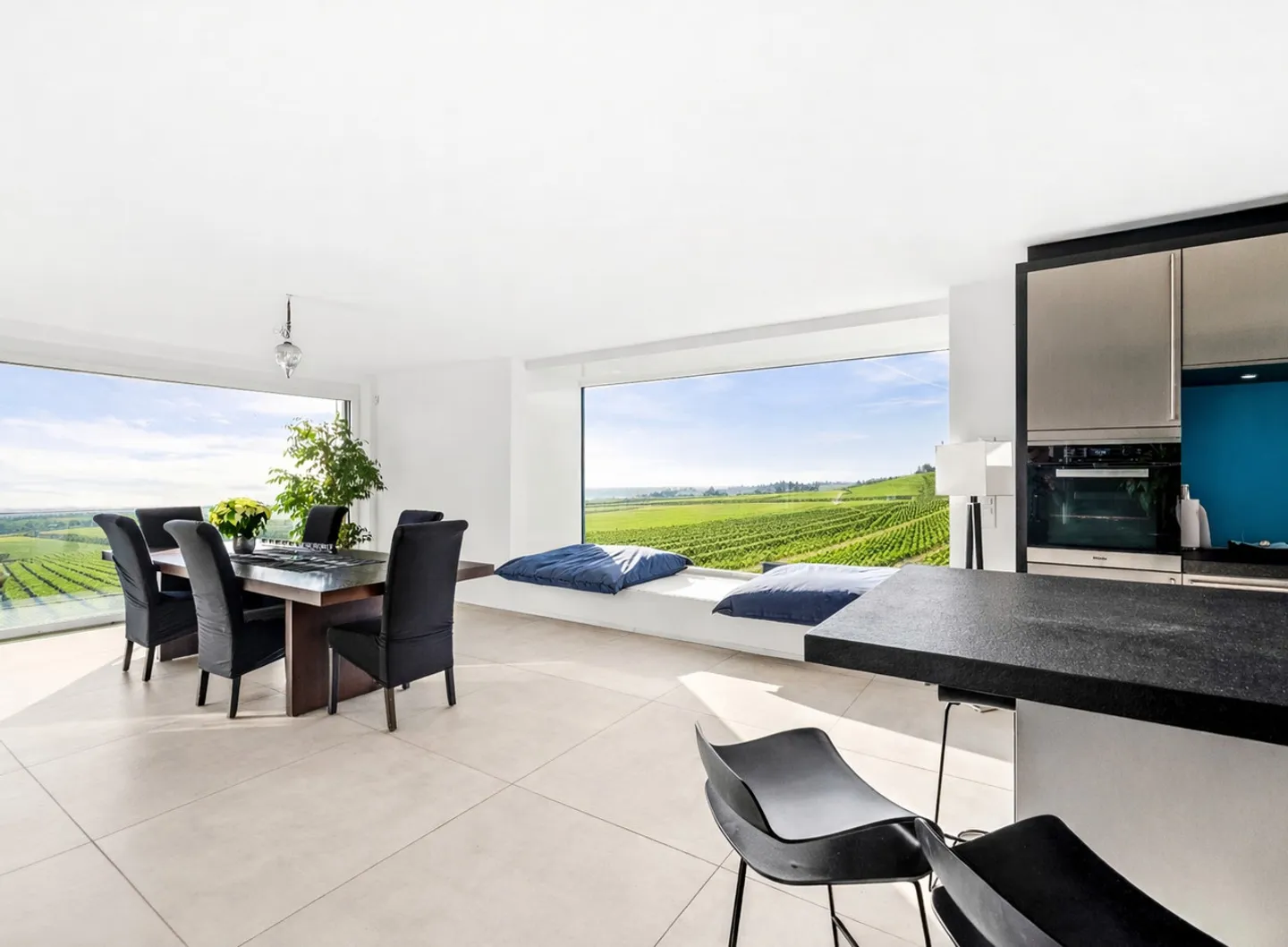 Beautiful architect villa with lake view near Morges - Photo 5 of 13