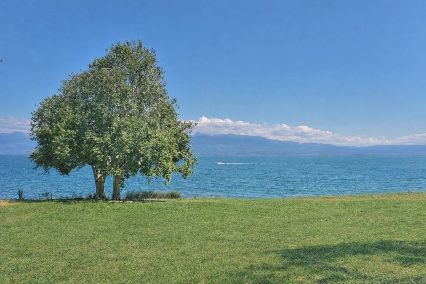 Progetto di una lussuosa villa contemporanea a piedi nell'acqua, Rolle - Foto 5 di 6