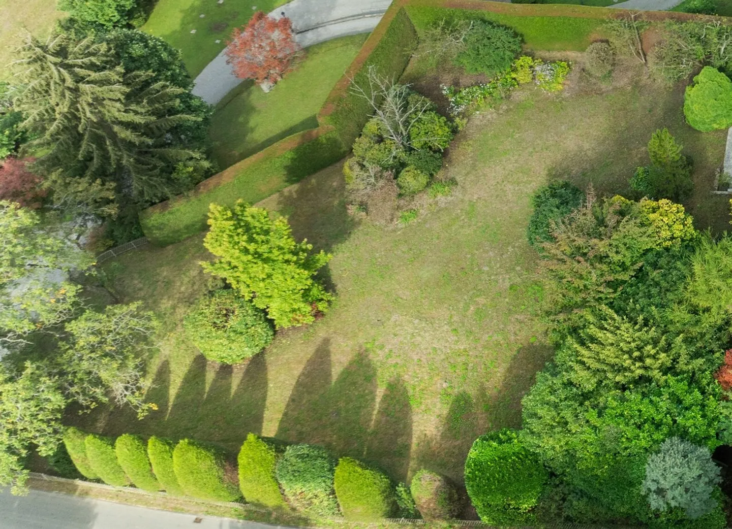 Parcelle de construction à Saint-Légier - Photo 3 sur 9