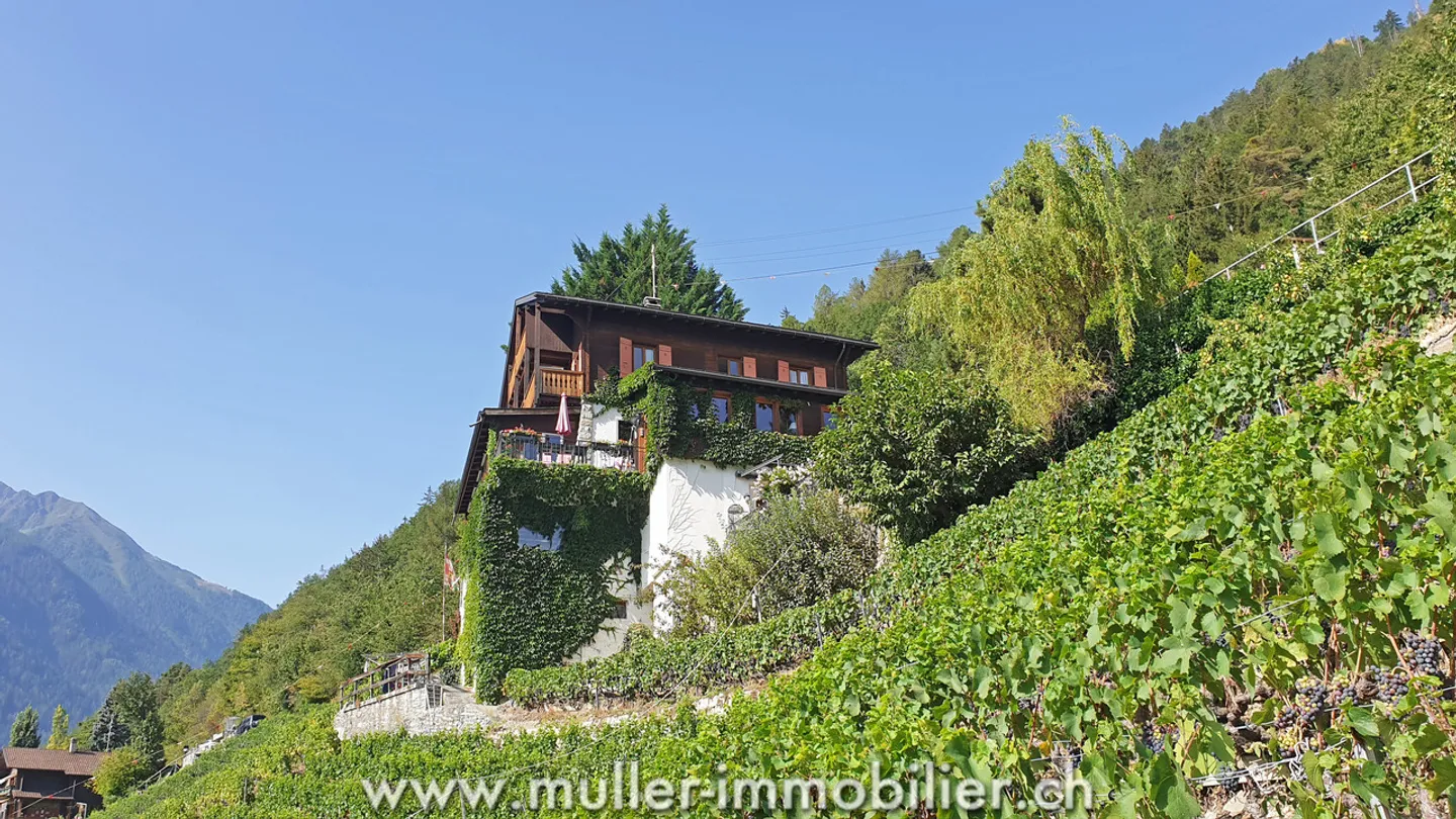 Schönes Haus umgeben von Weinbergen mit Blick auf die Berge - Foto 13 von 13