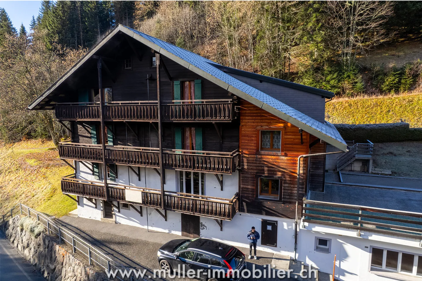 Chalet di accoglienza per gruppi a Morgins alle Portes-du-Soleil - Foto 3 di 13