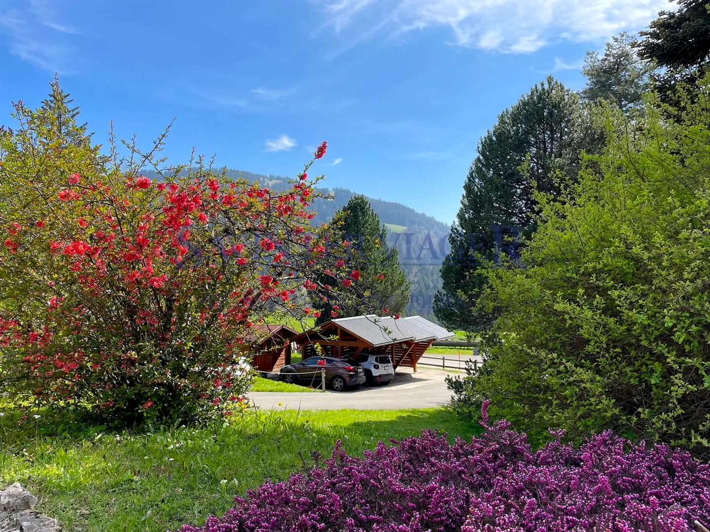 VIAGER. Châtel-St-Denis, Appartamento tranquillo, giardino PPE 2034m2 - Foto 5 di 13