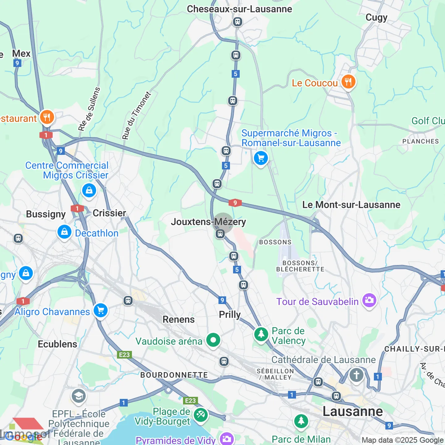 Jouxtens-Mézery - Case Semindipendenti di 4,5 Locali - Grande Giardino - Foto 9 di 10