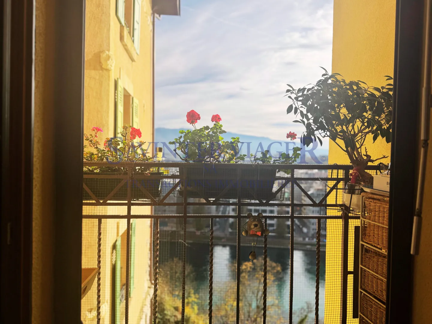 Investi in modo diverso! Appartamento in viager. Ginevra-San Giovanni - Foto 6 di 11