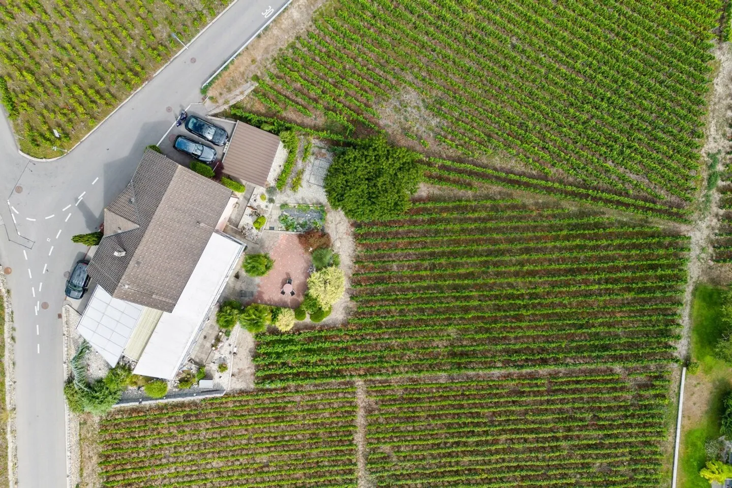 Spaziosa casa familiare nel cuore delle vigne - Foto 10 di 10