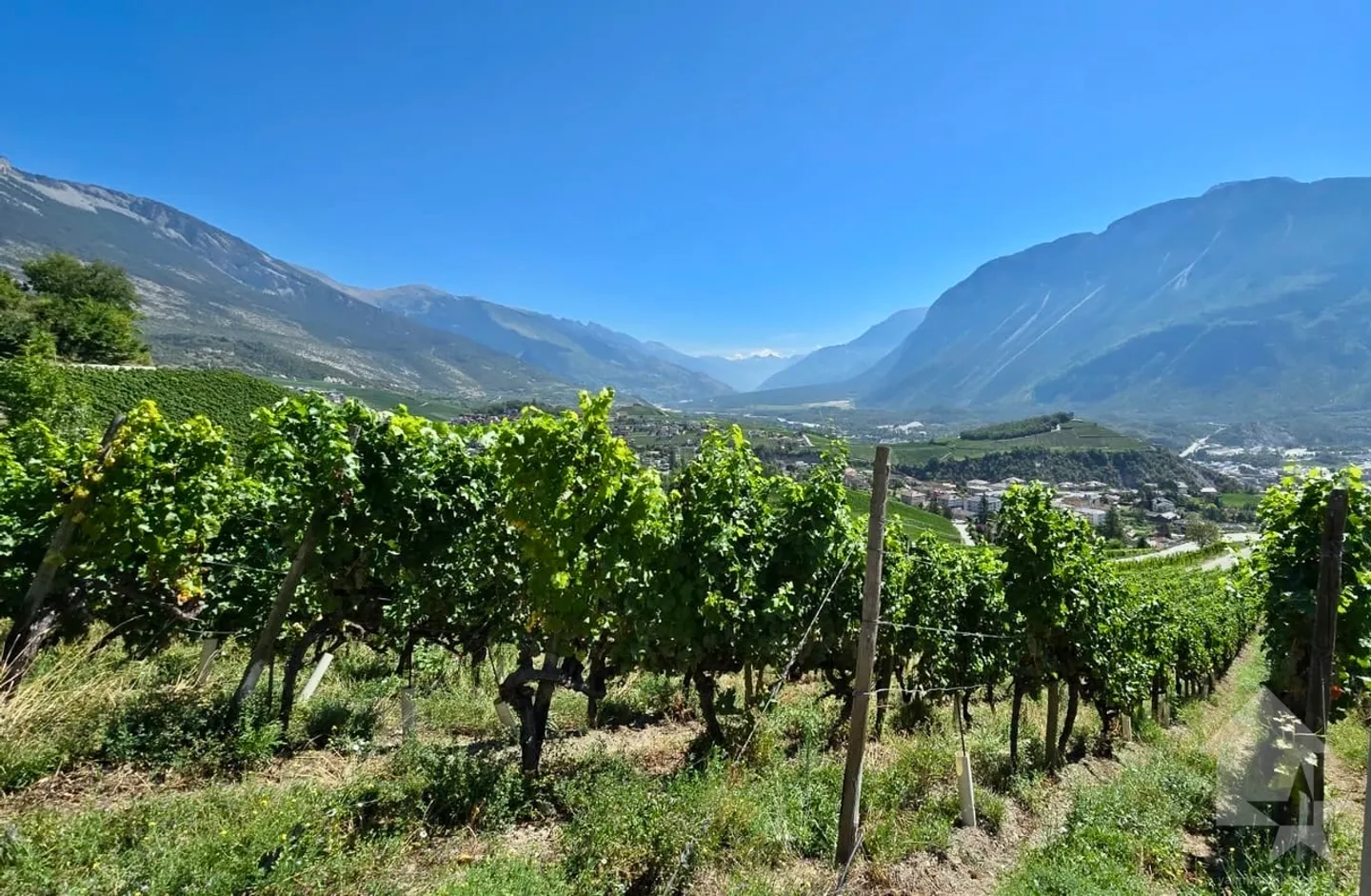 Förderung von 2 Doppelhaushälften mit 4,5 Zimmern in ruhiger Lage, Panoramablick - Foto 5 von 13