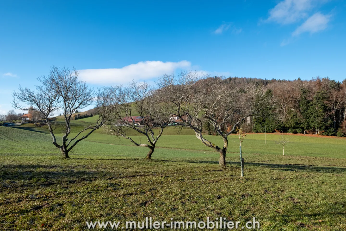 Ferme rénovée en pleine nature - Photo 13 sur 13