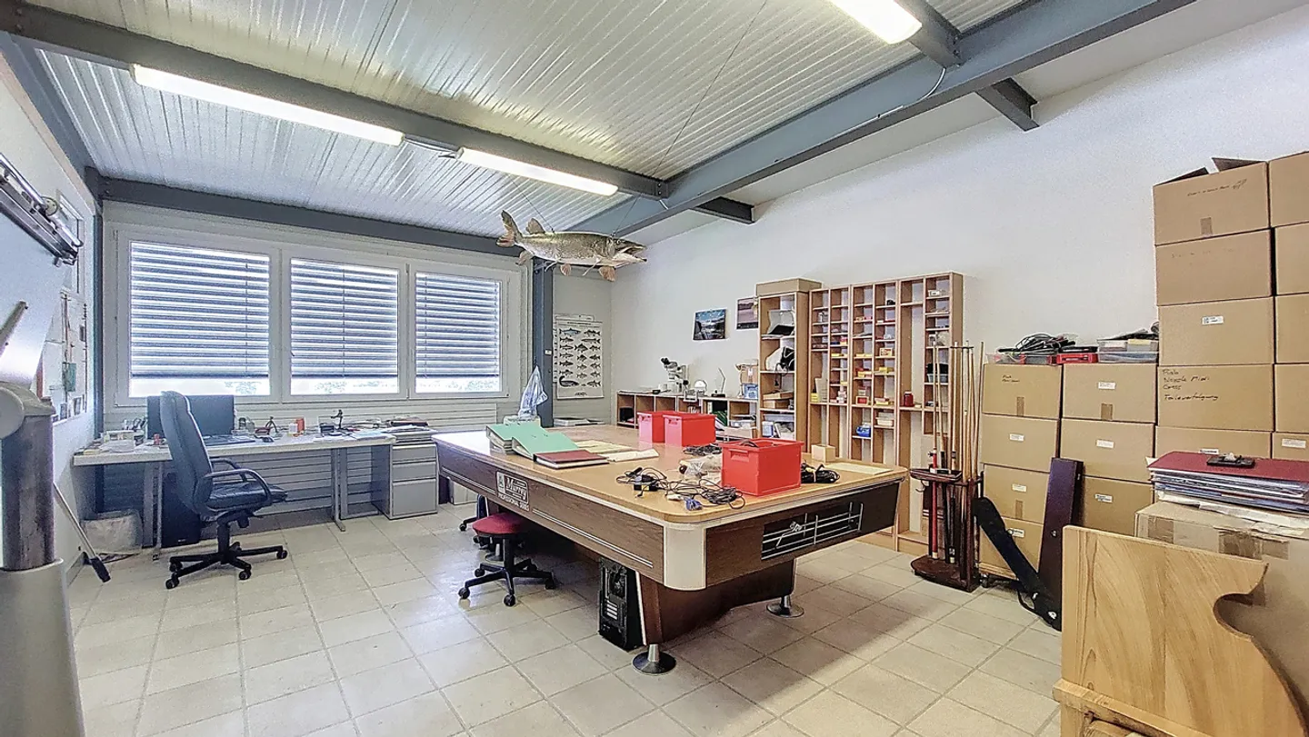 Gewerbliche / industrielle Räumlichkeiten in Cressier / FR - Foto 13 von 13