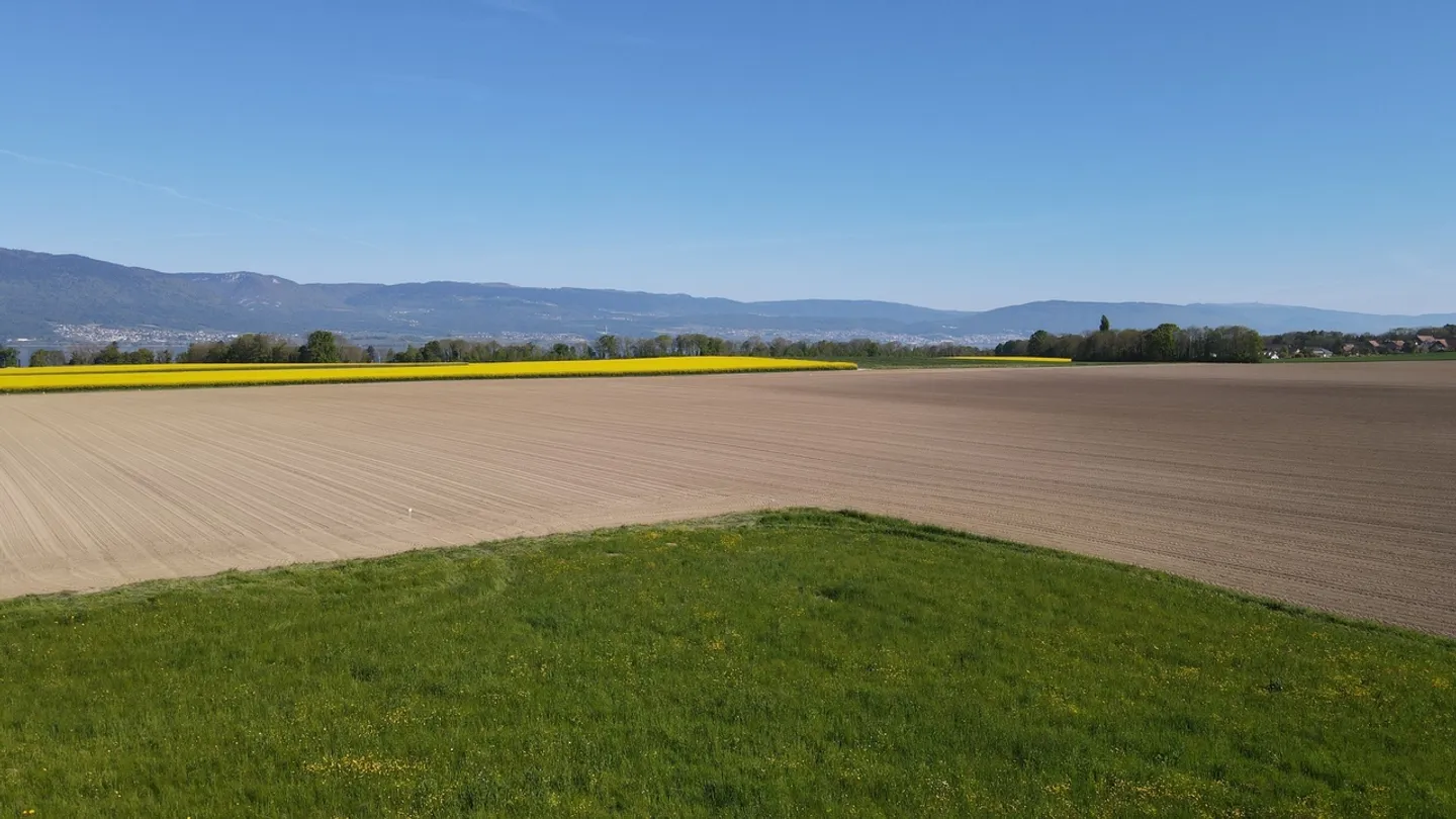 Bauernhof zur Renovierung mit Grundstück von 4.099 m2 in Estavayer-le-Lac / FR - Foto 8 von 13