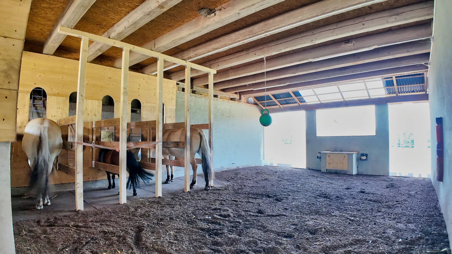 Fattoria equestre ristrutturata di 6,5 stanze senza vicinato a Villarimboud / FR - Foto 9 di 13