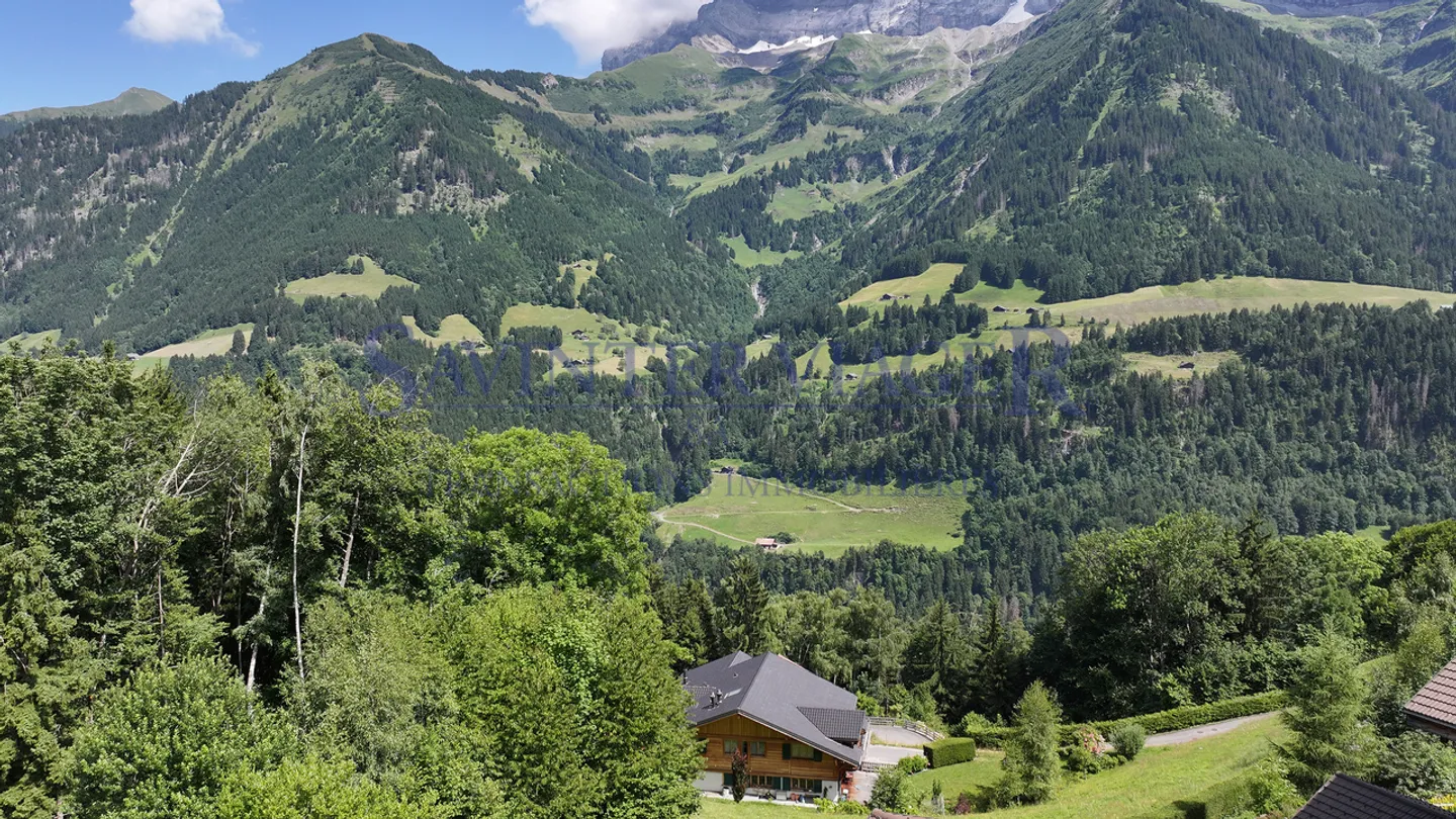 Champéry, Exceptional Chalet of 450 m2 living space - Occupied Viager - Photo 4 of 13