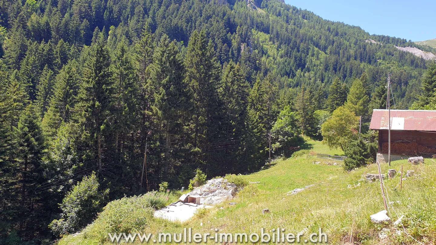 Baugrundstück mit gültiger Genehmigung in Savièse - Foto 2 von 13