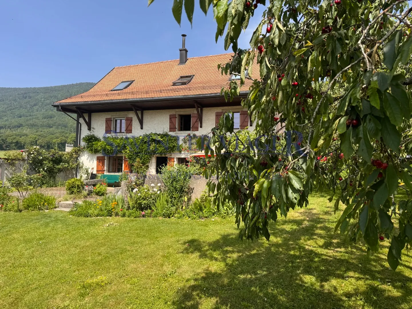 Mollens, Charmantes Haus - Besetzte Leibrente - Foto 2 von 13