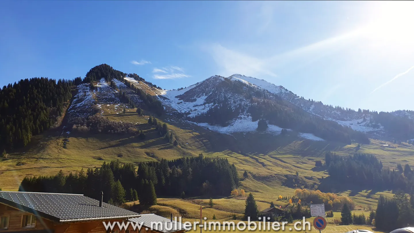 Grand chalet aux Mosses avec appartements et tea-room - Photo 8 sur 13