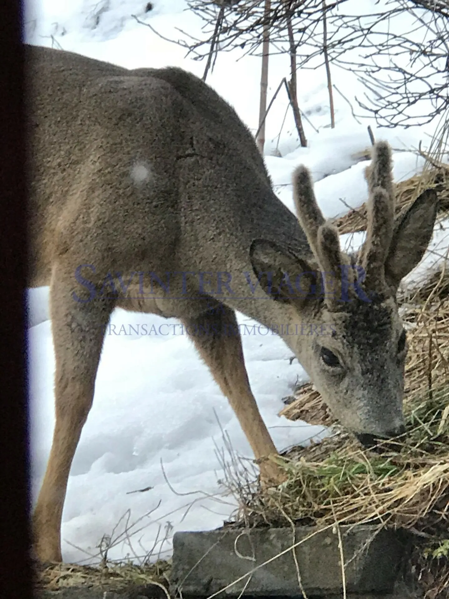 Champéry, Per gli amanti della natura, Chalet autentico e affascinante - Foto 2 di 13